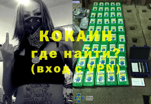 мдпв Магас