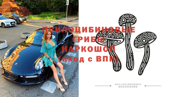 ПСИЛОЦИБИНОВЫЕ ГРИБЫ Орск