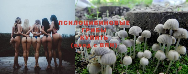 мескалин Великий Новгород